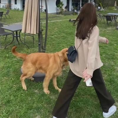 美国心黑道情
